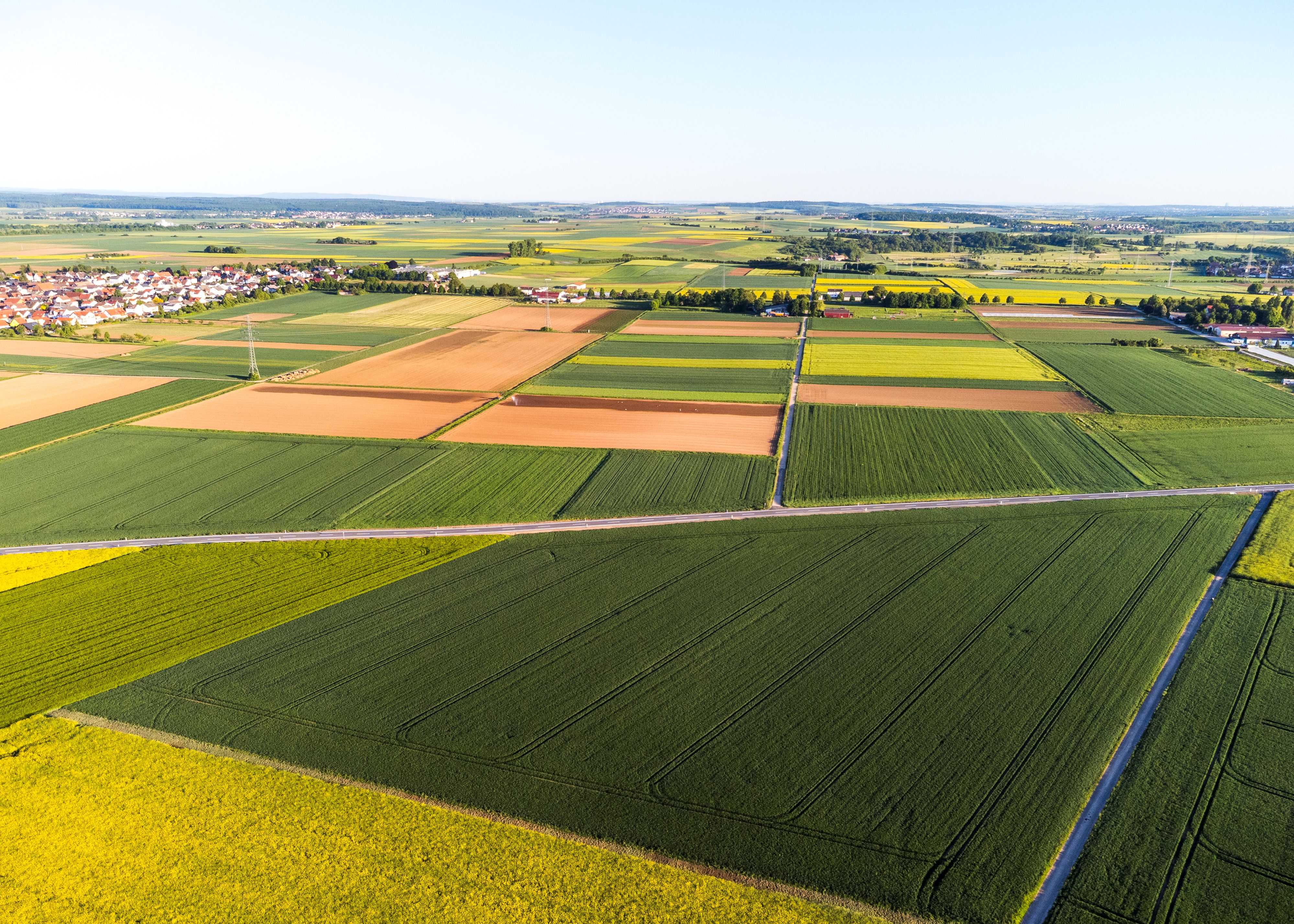 Agriculture